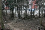 img 3852