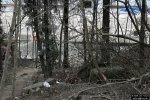 img 3854
