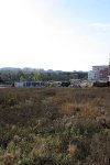 img 1523
